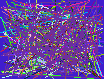 reverse phone listings